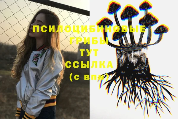 гашик Баксан