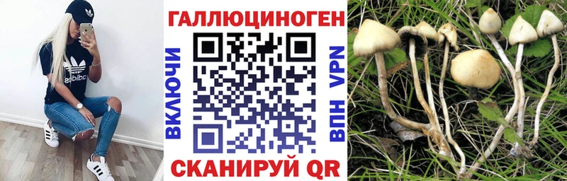 mega вход  Жердевка  Галлюциногенные грибы ЛСД 